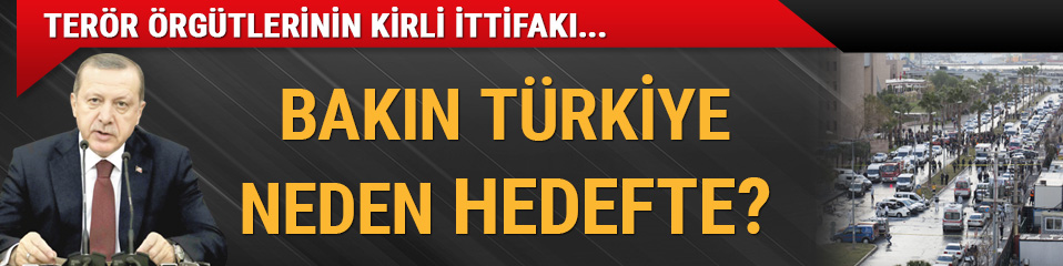 Trkiye neden hedefte?