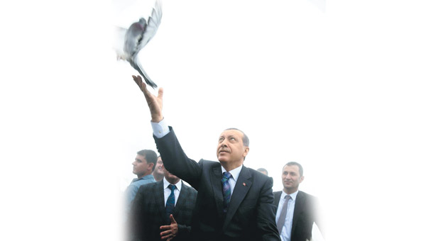 Erdoğanofobia