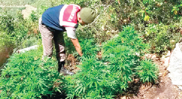 Uyuşturucu kaçakçılığı PKK’nın bahşişi 