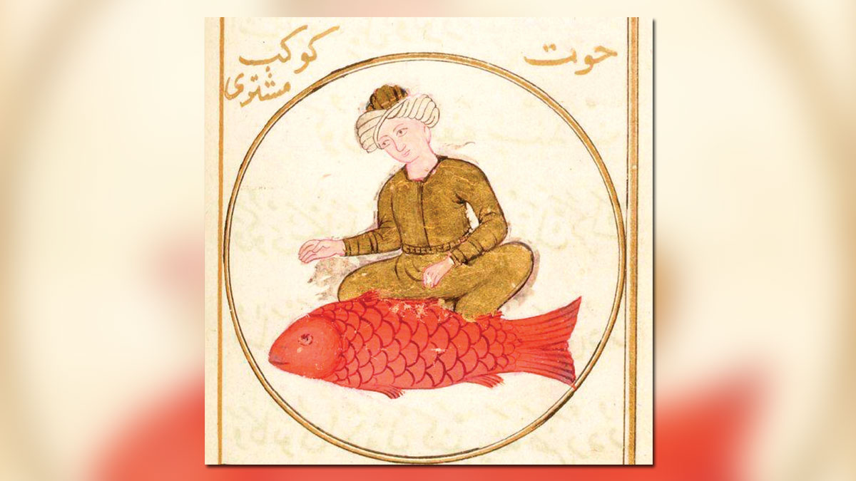Fatih karides, II. Mahmud kılıç balığı tutkunuydu