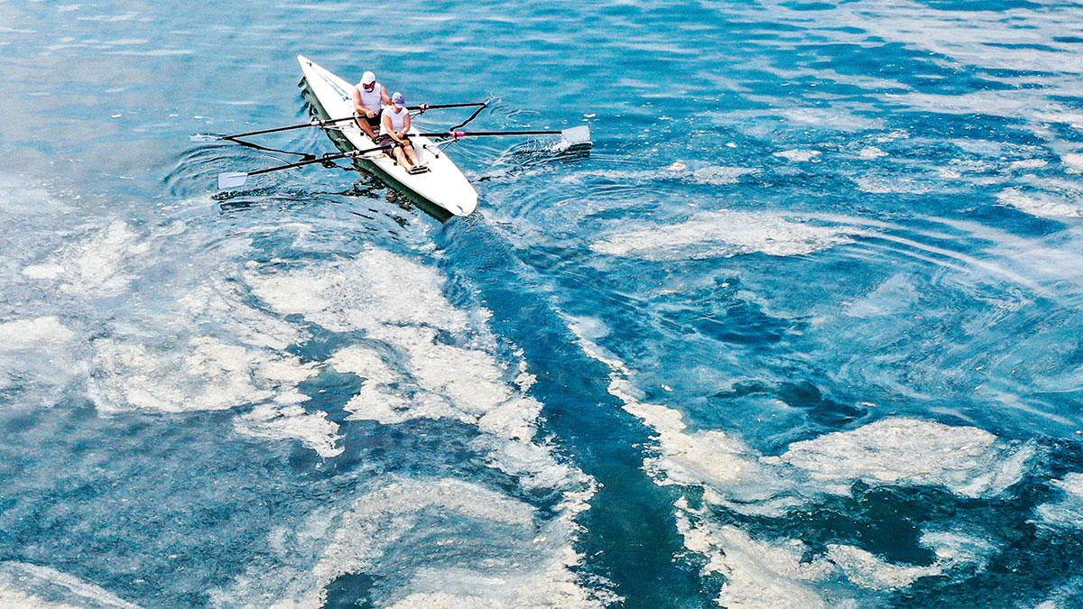 Deniz kirlilik yükü ve müsilaj sorunu