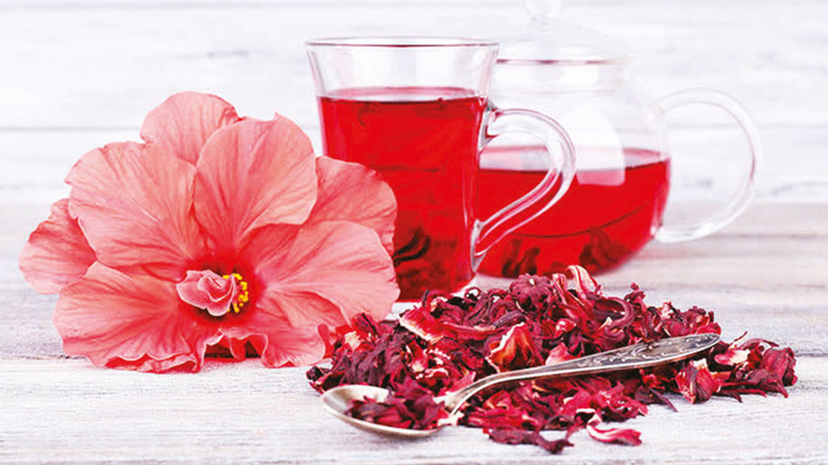 Şifalı Afrikalı: Hibiskus