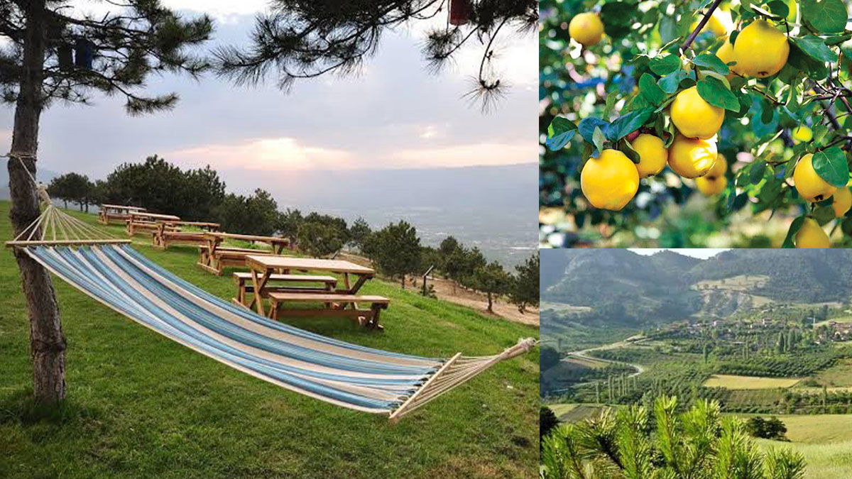 İpek Yolu'nda bir durak; Geyve