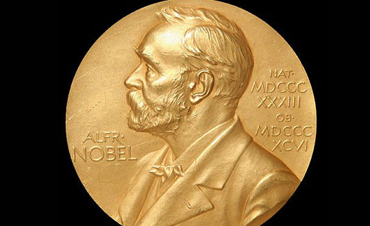 ikolata ye, Nobel'i kap