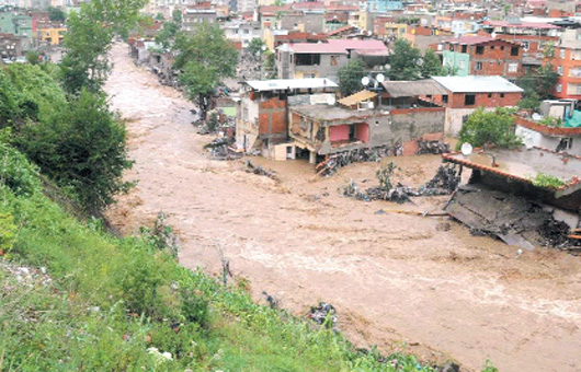 Sele kar havadan  tohumlama balyor 