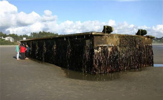 Kanada'ya tsunami p paras