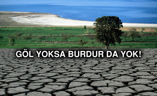 Dnyann en gzel kuu gln geri istiyor 