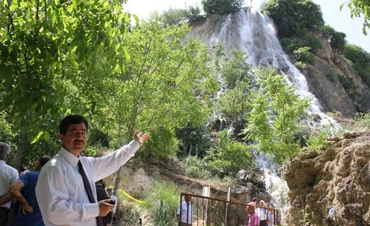 Gney elalesi yeniden can buldu 