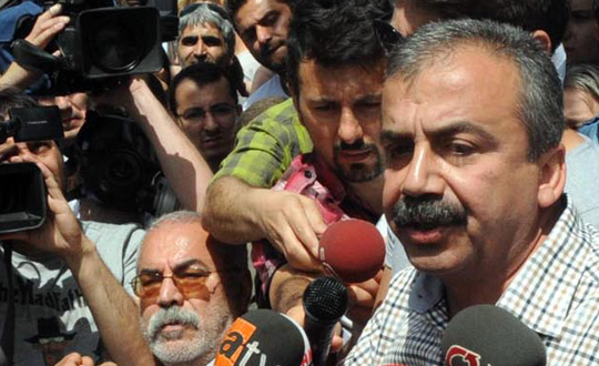Srr Sreyya nder'den CHP'ye 'Gezi Park' eletirisi