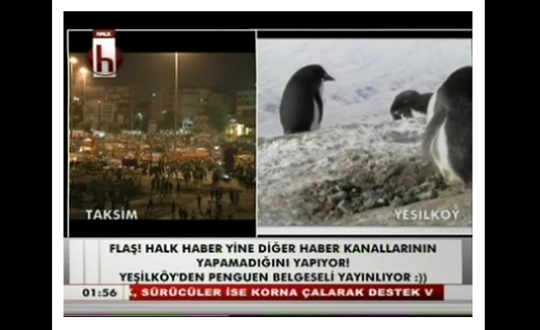  TV kanalndan 'penguen' protestosu