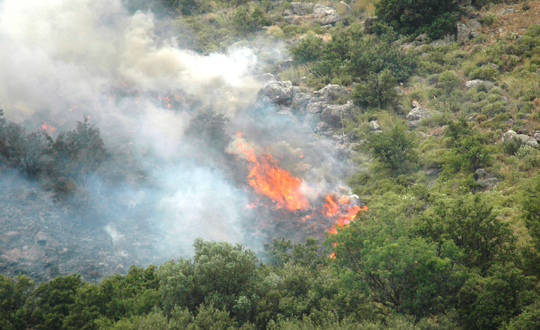 Bodrum'da orman yangnlar