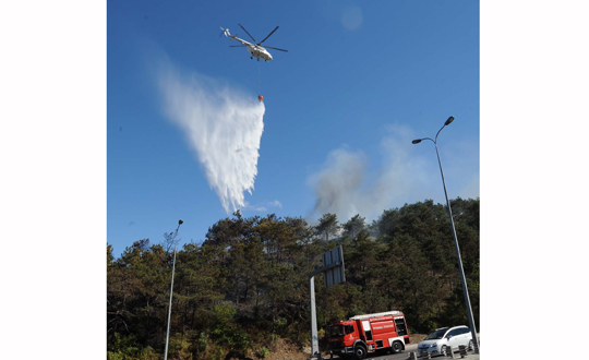 Saryer'de ormanlk alanda yangn   