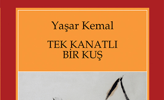 Yaar Kemal'in yeni kitab okuyucularyla bulutu