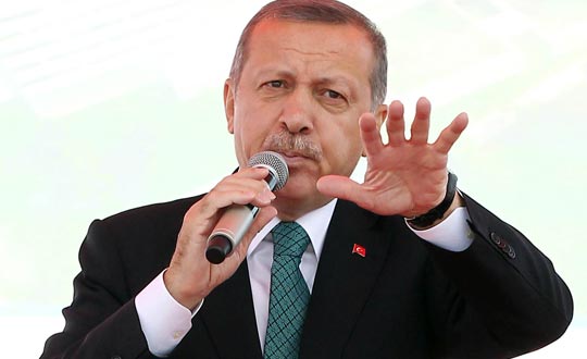 Erdoan: Siz ormanda yaayn, biz yol yapacaz