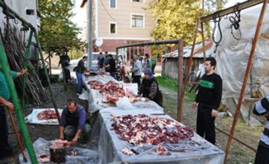 ''Kist hastalnn yaygnlamamas iin kurban atklar gmlmeli''