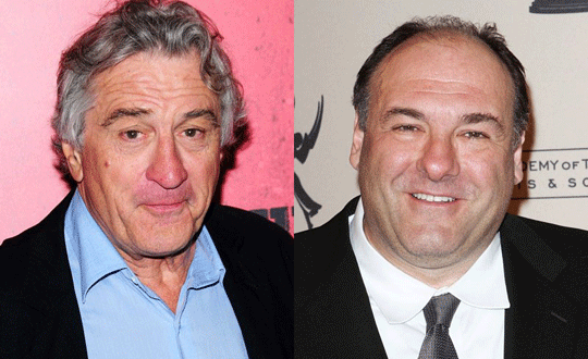 Gandolfini'den boalan yeri De Niro dolduracak 