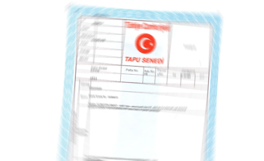 Tapuda e-terkin dnemi balad