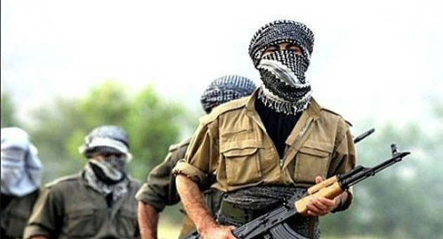 ukurca'da 2 PKK'l teslim oldu