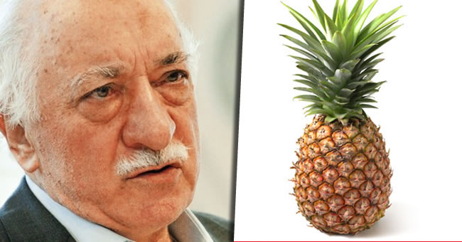 'Ananas' ifresi zld!