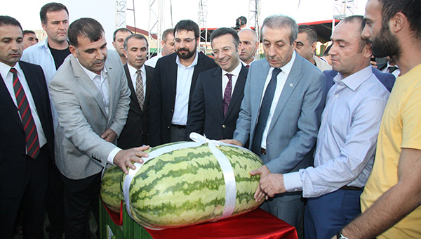 Diyarbakr'da 'Kltr ve Karpuz Festivali'