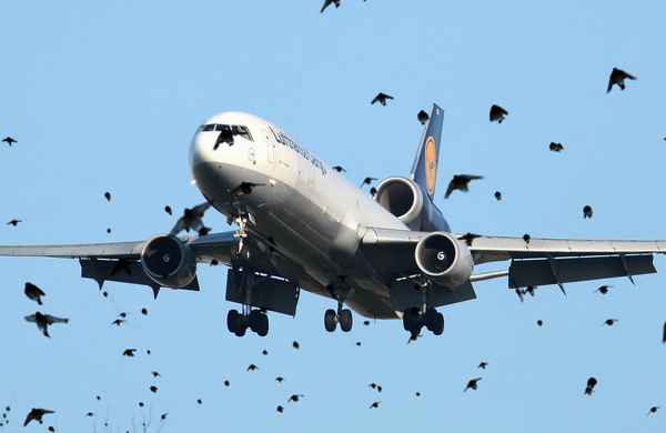 Lufthansa'nn kargo ua Kazakistan'da tehlike atlatt.