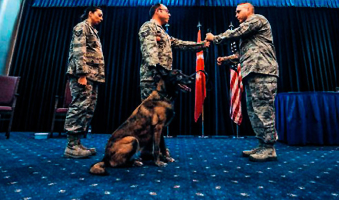 ncirlik'teki K9 kpei  'Kira' emekli oldu.