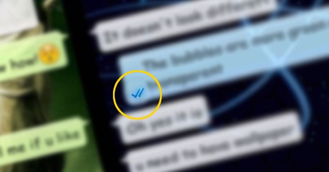 te WhatsApp'ta 'mavi tik'i kapatmann yolu