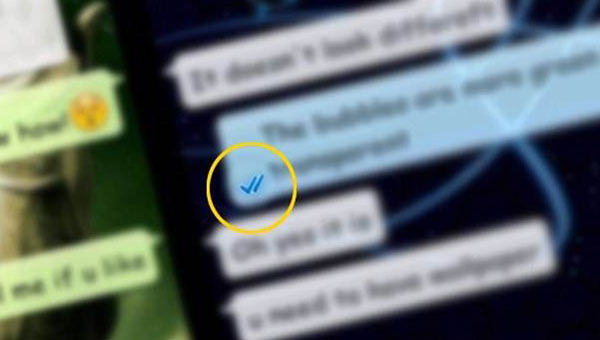 Whatsapp'tan 'mavi tik'te geri adm