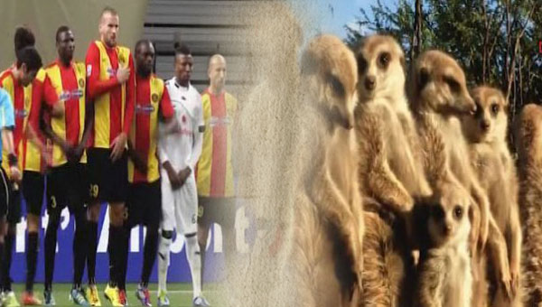FIFA futbolcular hayvanlara benzetti