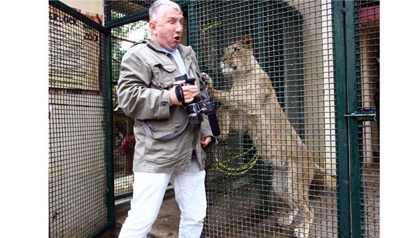 Muhabir aslan kafesine yaklarsa?