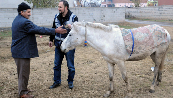 Polis, alnan at sahibine teslim etti