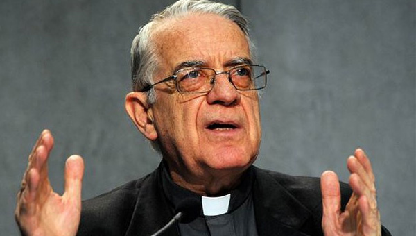 Vatikan Szcs: Papa'nn grevi bu deil