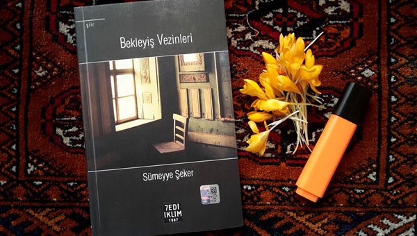Bekleyi Vezinleri ile syle()mek