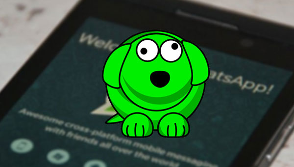 WhatsApp'ta istediğiniz kişiyi gizlice takip edebileceksiniz