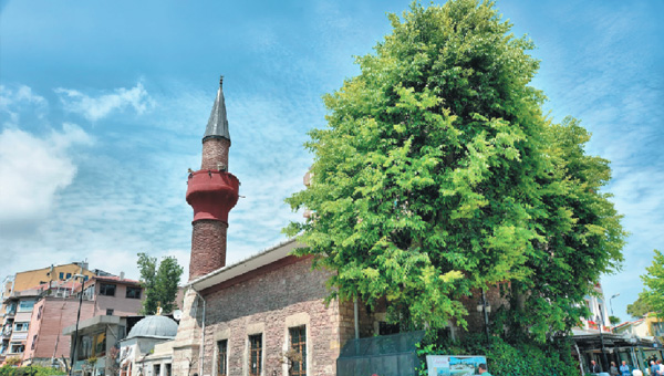 lk Kuran meali bu camide okundu