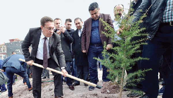 Pursaklarda 2500 fidan toprakla bulutu