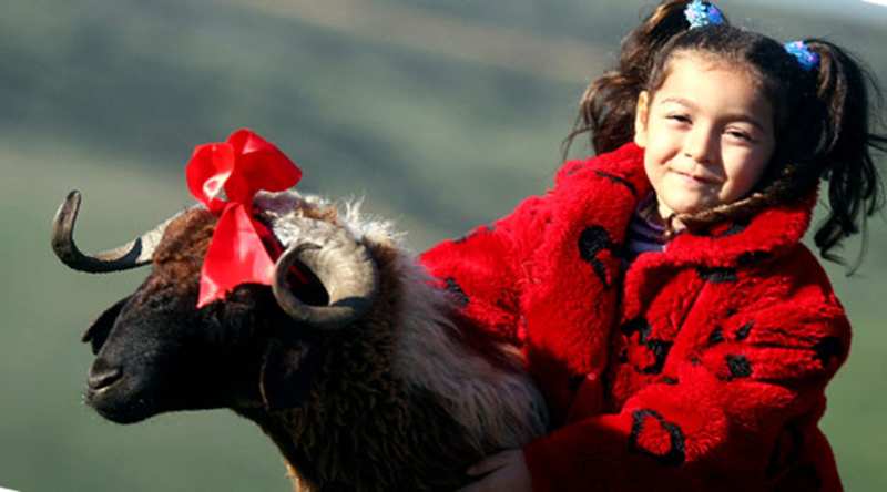 ''7 yandan kk ocuklar kurban kesimine tanklk etmemeli''