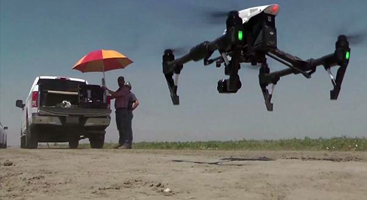 Kaliforniyal iftiler dronelerle su tasarrufu salyor
