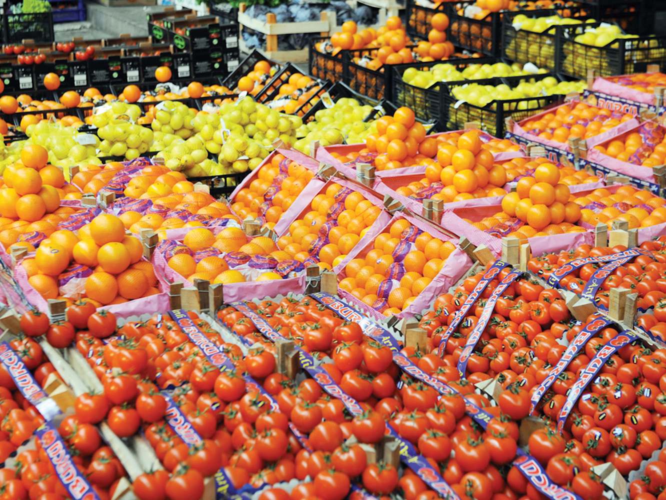 Sebze ve meyve ticaretinde K�nye uygulamas� y�r�rl�kte