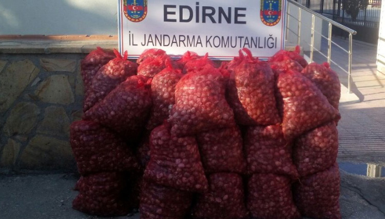 Edirne'de kum midyesi operasyonu