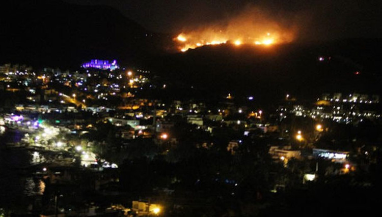 Bodrum'da yang�n: 5 hektar alan k�l oldu