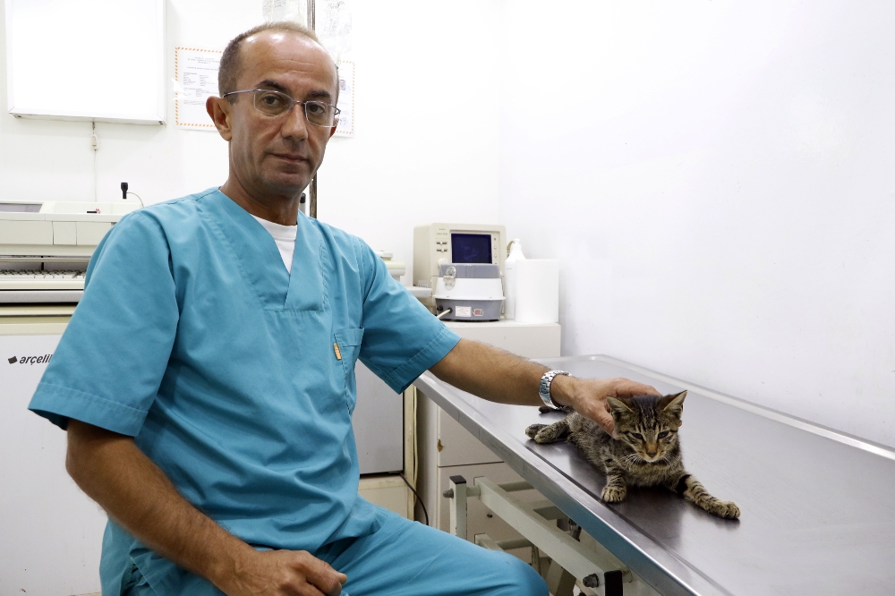 Antalya'da yavru kediye tecavz ettiler