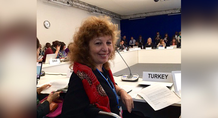 BM Uluslararas� Hukuk Komisyonu'na T�rk akademisyen se�ildi 