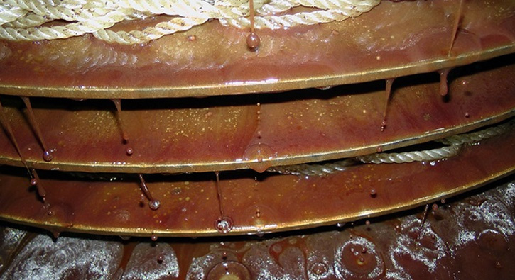 100 kilogramdan 1,5 litre  ''zeytin s�t�'' �retiliyor