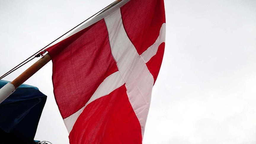 Danimarkadan 'Beyaz Kaskllar'a destek