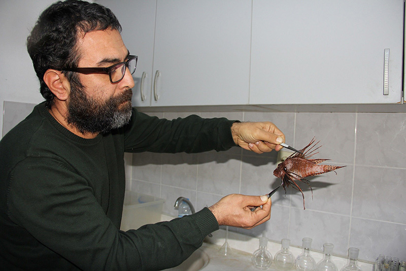 Bu bal��� yemek serbest, dokunmak yasak