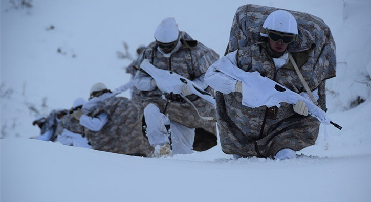 Bitlis'te 6 ter�rist etkisiz hale getirildi