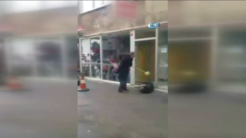 Sokak k�peklerine sopayla dayak kamerada
