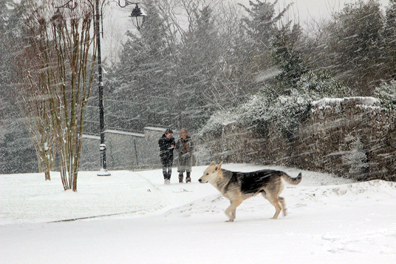 �aml�ca tepesi beyaza b�r�nd�