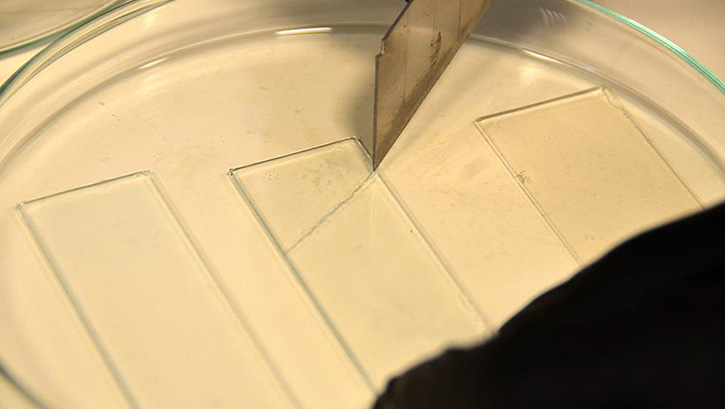 T�rk ara�t�rmac�lar, kendini onarabilen malzeme geli�tirildi